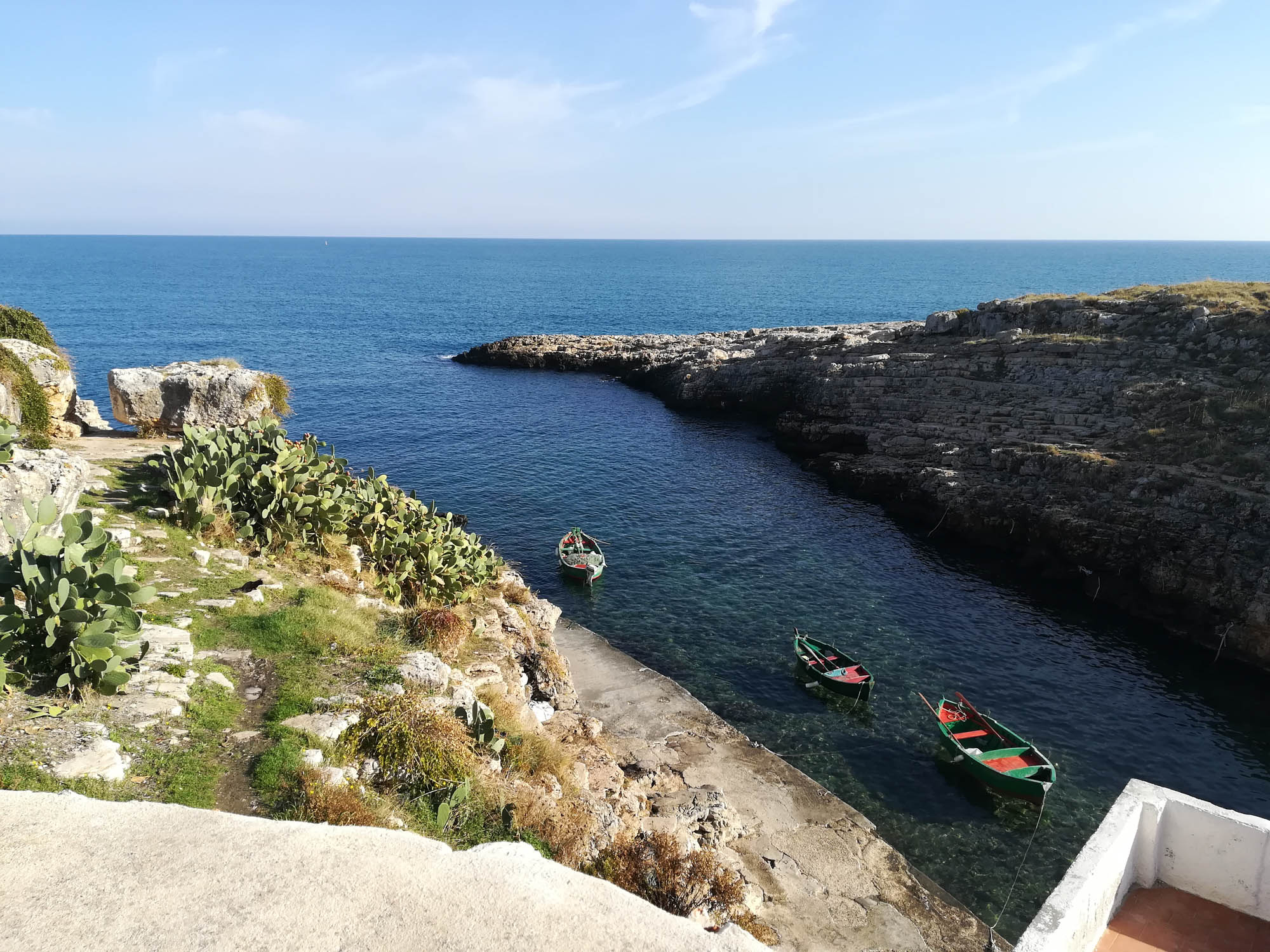 fauna, ornitologia, escursione, mare, Puglia, escursione, visita guidata, costa, adriatico